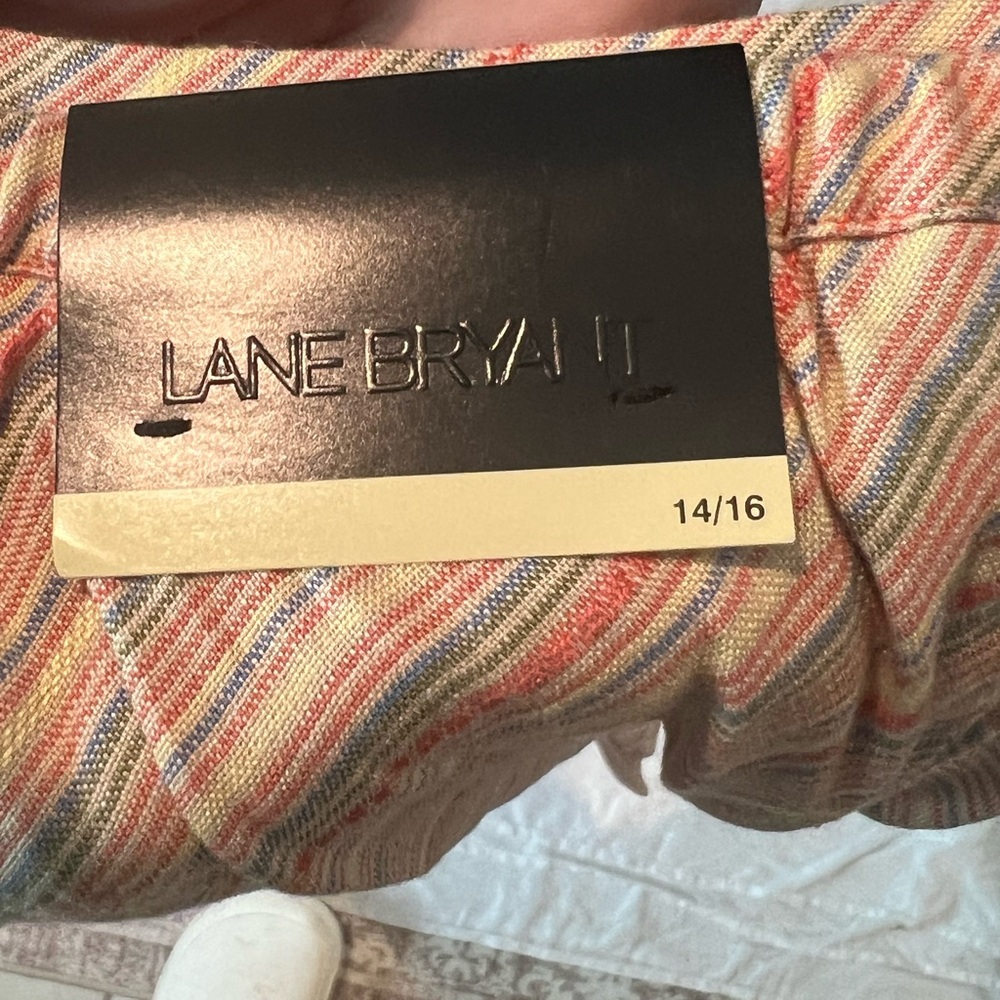 Lane Bryant Multicolor Striped Garment